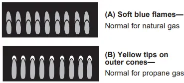 GE Profile PGP6036STSS 36 Inch Built-In Gas Cooktop with Dishwasher 14