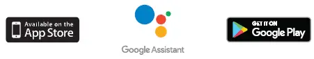 Google Assistant