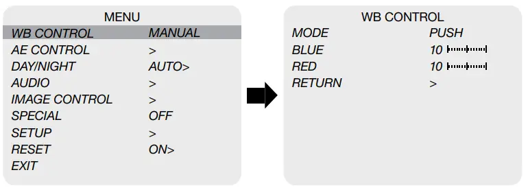 Marshall True 4k30 Compact Camera CV380-CS-OUTDOOR