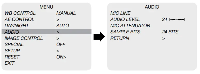 Marshall True 4k30 Compact Camera CV380-CS-audio