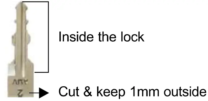 Zhongshan Yihu Electronics EC003N Car Alarm System - steering lock 3