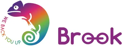 Brook ZERO logo 2