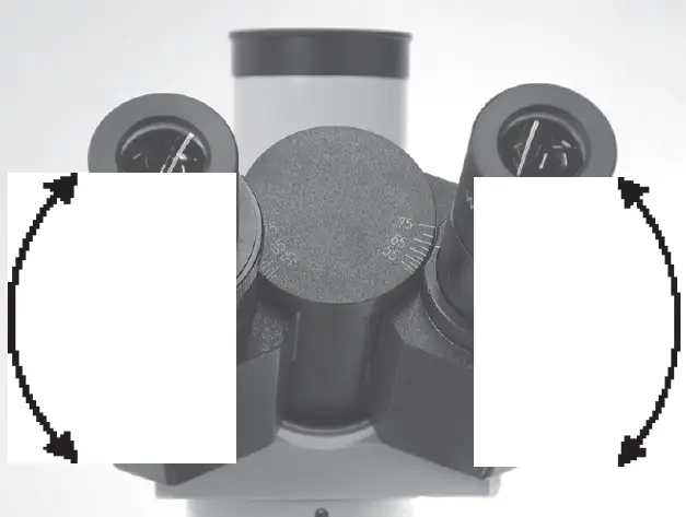 VEE GEE 1200CM Series Compound Microscopes 15