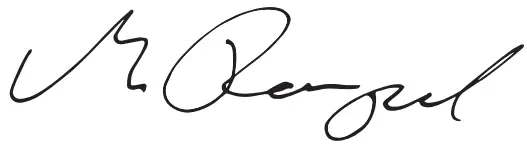 DEWALT DCH735 Cordless Combined Hammer - icon