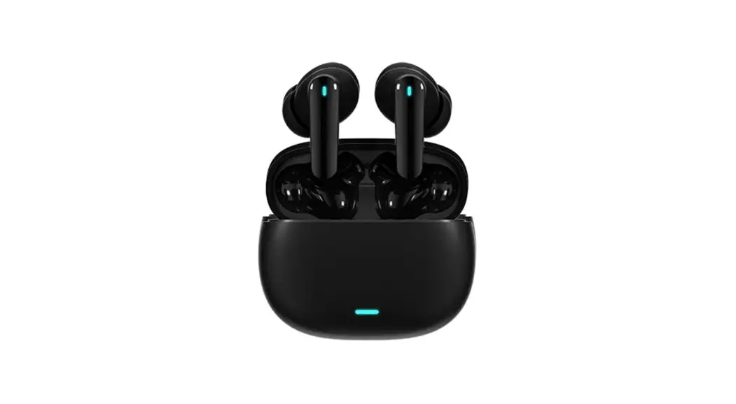 L01 Wireless Earbuds User Guide