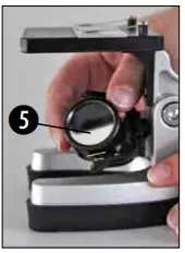 Normal Observation fig 5