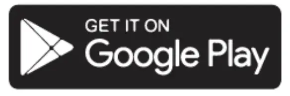 Google Play Store icon