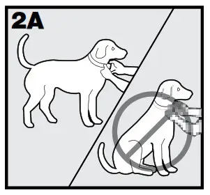 Sports DOG 1875 Add-A-Dog - 2a