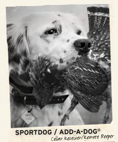 Sports DOG 1875 Add-A-Dog -