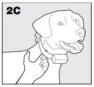 Sports DOG 1875 Add-A-Dog - 2c