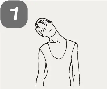 SPORTSTECH sWalk Treadmill - HEAD ROLLS