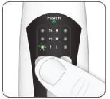 LG DU3037 Pro Series Portable Ultrasound - treatment