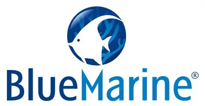 blue marine - logo