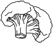 T-fal Grill - COOKING GUIDE 19