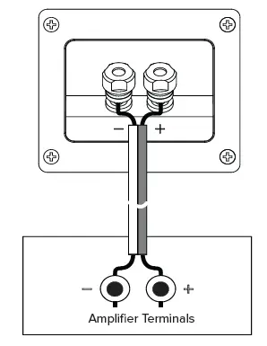 ELAC-Debut-Reference-DBR62-Img1 (1)