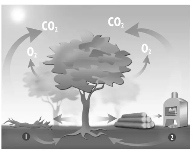 PANADERO FENIX Wood Burning Stove - Fig