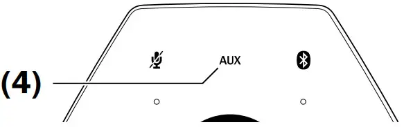 Teufel Holist M Powerful Hi-Fi Smart Speaker - AUX button