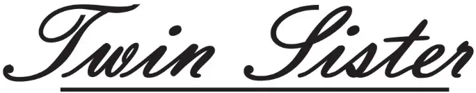 FRIEDMAN Amplification Deluxe Head Electric Guitar Amp Head - logo2