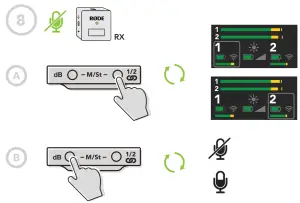 RODE-Wireless-GO-II-Dual-Wireless-Mic-System-Quick-Start