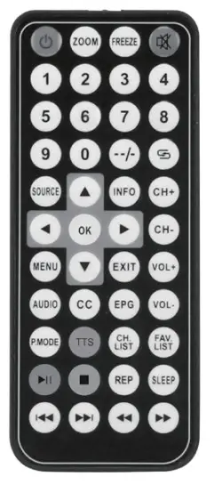 naxa NT 90A 9 Inch Portable TV and Digital Multimedia Player - control 1