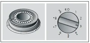 NEFF T26DS59N0 Gas Hob-5