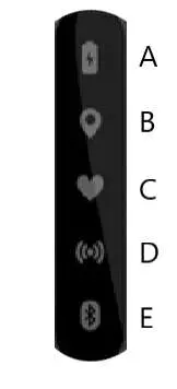 CATAPULT- VA7401- Vector -Stadium- Receiver -User- Manual-02
