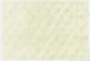 Soft spunbond polypropylene