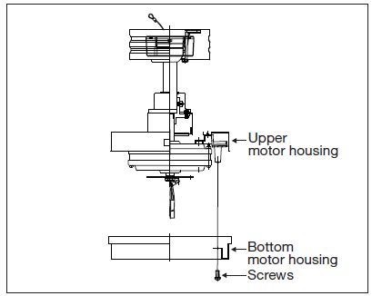 HINKLEY 903254FMB-LID 54 inch Walnut Blades Fan-11