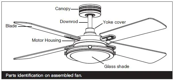 HINKLEY 903254FMB-LID 54 inch Walnut Blades Fan-3