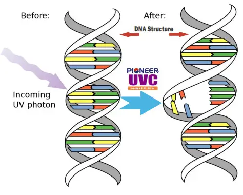 PIONEER IKT-UVL32UL-AG UVC Bacterial Disinfection Kit for Mini-Split Systems - Scientific studies say