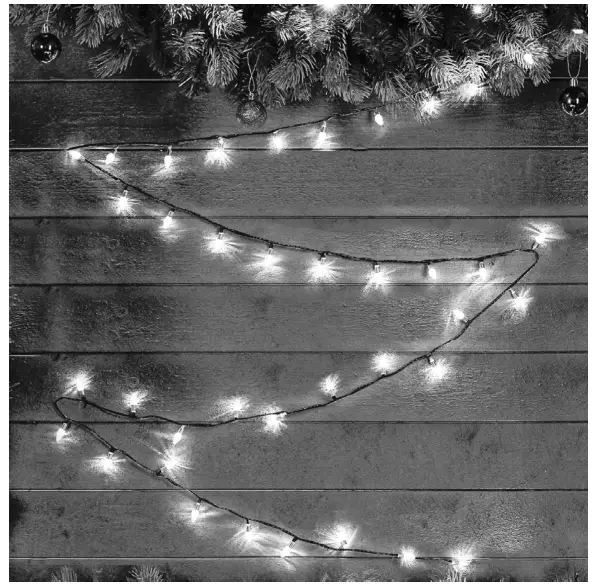 EKVIP 022507 String Lights