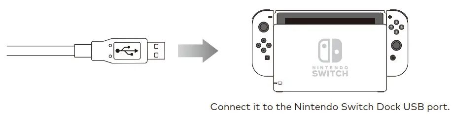 Connect it to the Nintendo Switch Dock USB port