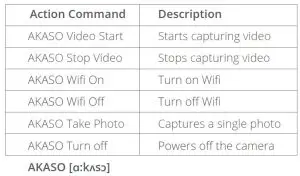 FIG 13 Action Command