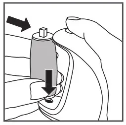 Homedics PED-1200 Pedicure Callus Remover Instruction - Loosely position one