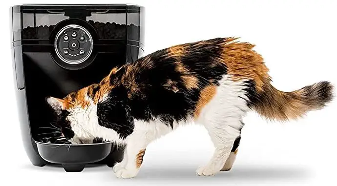 Whisker B0938d9ld8 Automatic Pet Feeder User Guide Whisker B0938d9ld8 Automatic Pet Feeder User Guide