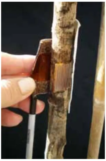 EXO-Sensor-Installation