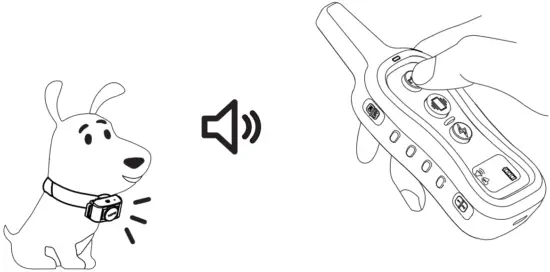 Installation Instruction