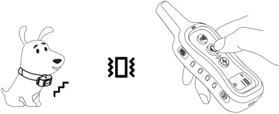 Installation Instruction