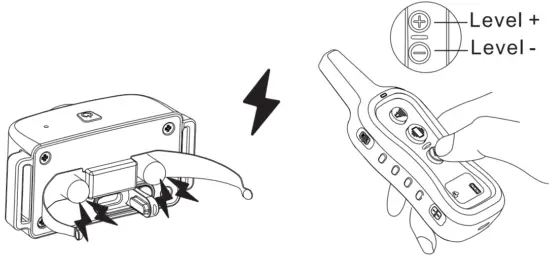 Installation Instruction