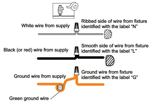 QUOIZEL-HOG5024K -24-Inch-Mystic-Black-Chandelier-Ceiling-Light-fig8