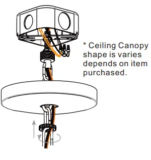 QUOIZEL-HOG5024K -24-Inch-Mystic-Black-Chandelier-Ceiling-Light-fig9