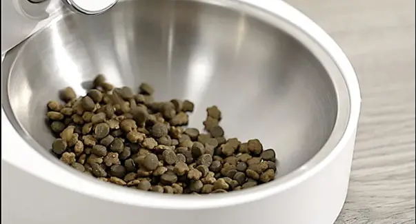 Mellerware M80 Automatic Pet Feeder Instruction Manual