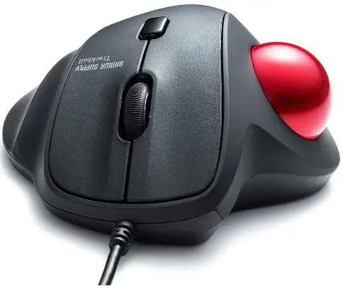 SANWA-Ergonomic-Mouse-product