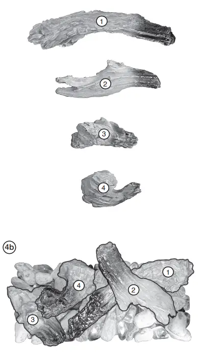 GAZCO Vision Electric Range-fig27