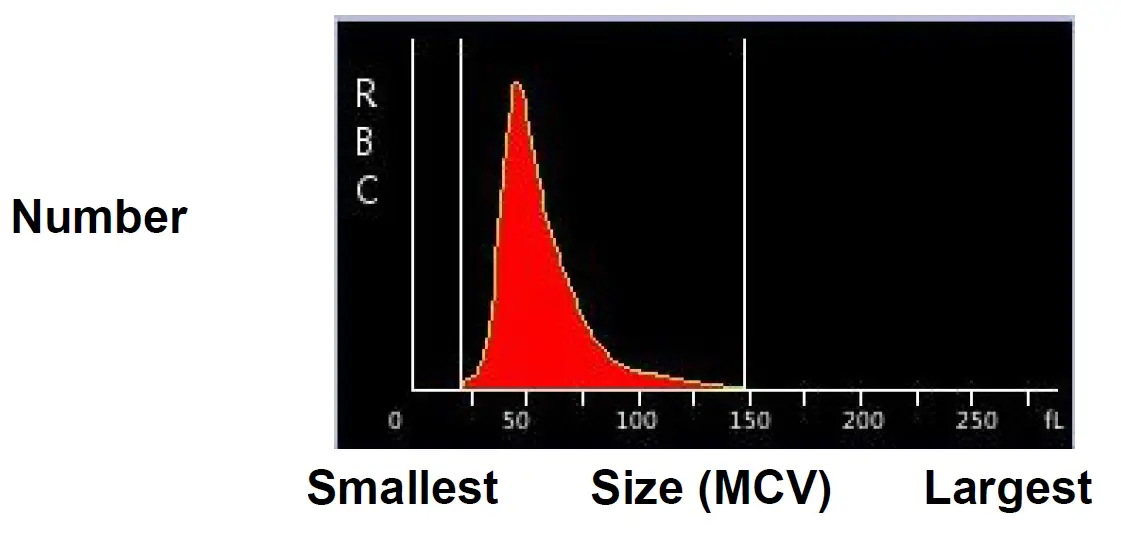 WOODLEY-EQUIPMENT-COMPANY-InSight-V3-Plus-Veterinary-Haematology-Analyser-03