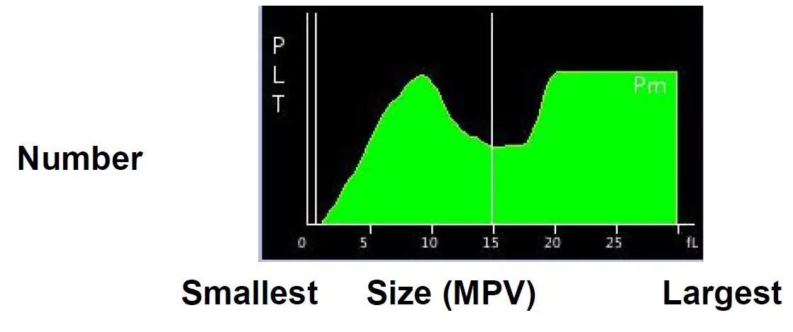 WOODLEY-EQUIPMENT-COMPANY-InSight-V3-Plus-Veterinary-Haematology-Analyser-05
