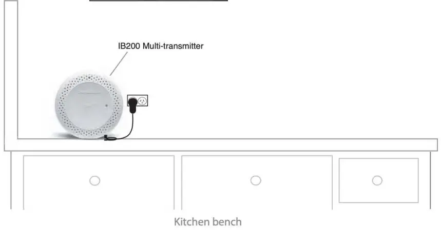 Cat Training Protocol
