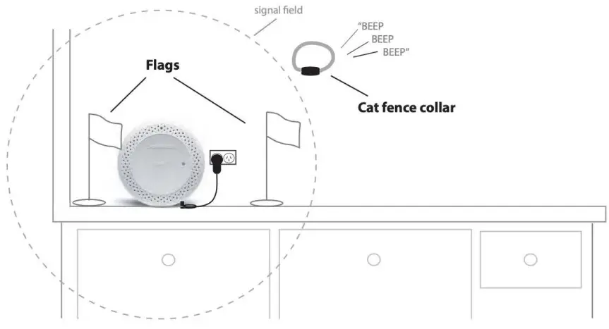 Cat Training Protocol