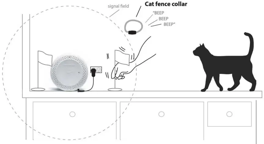 Cat Training Protocol