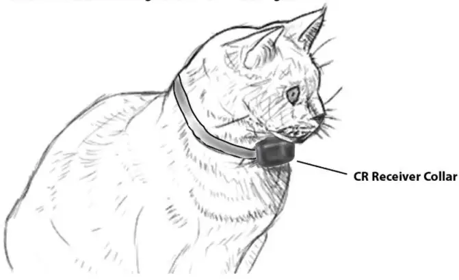 Receiver Collar